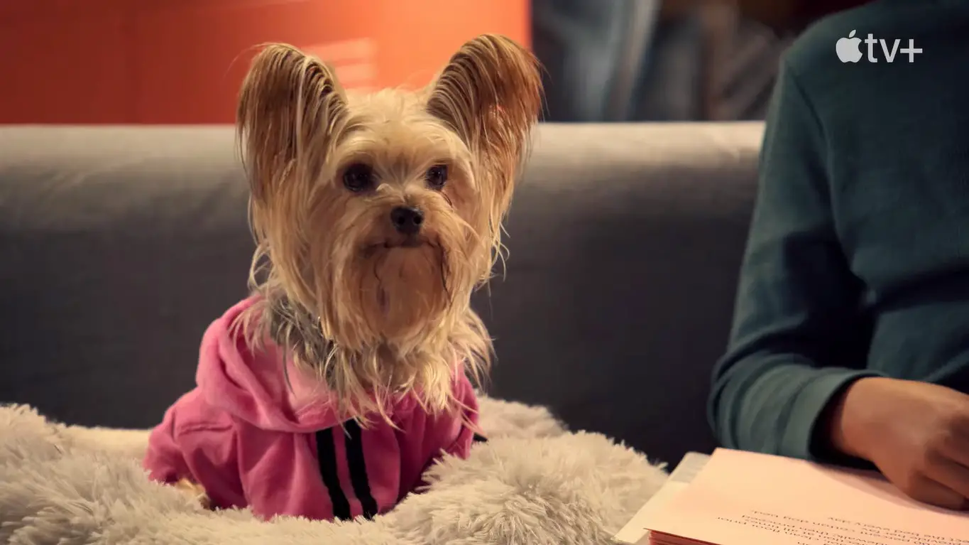 Puppy Place Season 2 Premiere Date on Apple Apple TV+: Renewed and Cancelled?