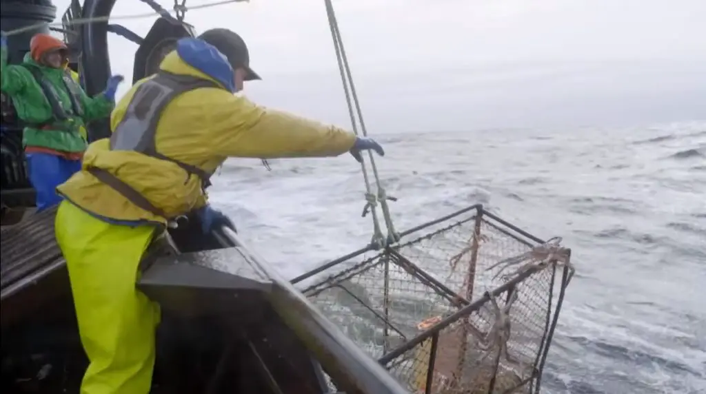 Deadliest Catch Season 21 Release Date, Trailer, Cast, and Everything We Know